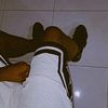 stiven_x11