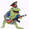 sweden_frog