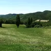 simoneserafini660