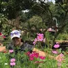 phucphuc888