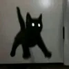ra1_nn