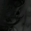 lucasrx8_s