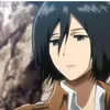 the_real_mikasa0