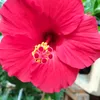 noname_23145