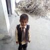 ali.ghour762