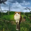 monkeybunnyking