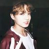 m.l.jk24