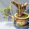 bonsai363