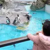 shokranahmady