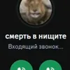prokopiev4