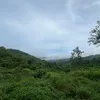 thanhhuyentran36