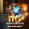 marcelosilvams61