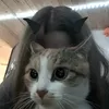 ni_onz0