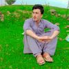 shaniwazir3