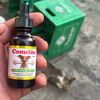 compincheclub