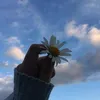 __s656