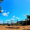 aldair_6900