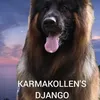 marielouisenils