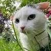 mick_b98_