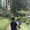 sya_prtm