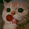 aldair_av