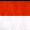 user9506174724077