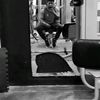 kley_palomino07
