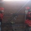 showmareonetas.com