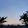_cloreo