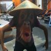 monk4207