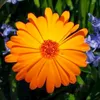 jassem_yousif