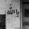 seymarop
