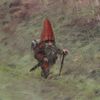 gnome.enjoyer