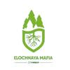 elochnaya.mafia