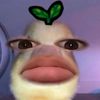 egxx_24