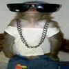 steven_xpa