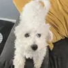 garypooby1