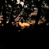 eliongstel6
