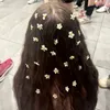 ksiashkins_