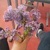 nur_2010_15