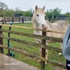 lisa_125672