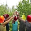 fruity.people