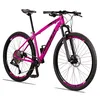 bikedofabrisiureidosrobl