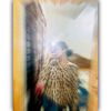 samiya_alam_jeny