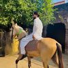 ali_jutt6k