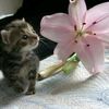 salma65677