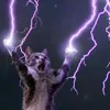 unorignal