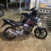 tigervip73
