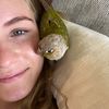 conure.zosya