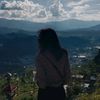 mountain._.forest